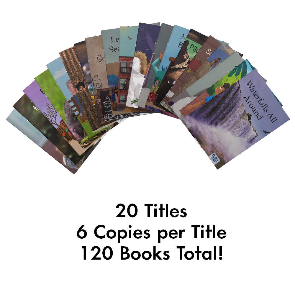 Product: Decodable Books, Set D, Fiction and Nonfiction